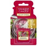 Dsodorisant pour voiture en pot yankee candle selgros111 - framboise