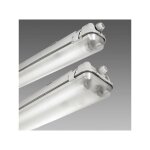 Disano - reglette etanche fluo 2x28w grise avec reflecteur 1300x99x152mm pour tubes t5 (non incl) culot ...