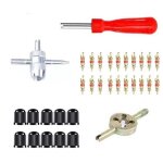 Dpzo - outils de dmontage de valve de pneu de 33 pices, extracteur de noyau de valve de remplacement ...