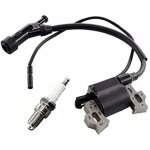 Ensemble comprenant une bobine d'allumage et une bougie d'allumage pour le groupe lectrogne berlan ...