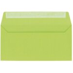 Enveloppe pollen clairefontaine vert bourgeon 110 x 220 mm - paquet de 20