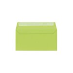 Enveloppe pollen clairefontaine vert bourgeon 110 x 220 mm - paquet de 20