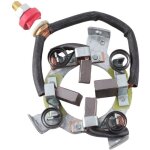 Eosnow kit de balais de carbone pour moteur, support de d�marreur � al�sage central de 45mm, r�paration ...