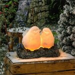 Couple d'oiseaux solaire lumineux