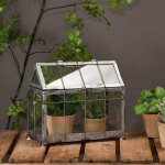 Esschert design ? serre en fer et verre 15, 4 cm x 29, 3 cm x 26, 4 cm ? pour petites plantes ? conditions ...