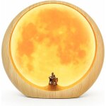 Fei yu - mariage saint valentin cadeau dcoration d'art, amour sous la lune rouge (non rechargeable)