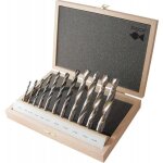 Fisch - set mèche à bois hss profi 11 - pièces 4 - 16mm r Fisch - set mèche à bois hss profi 11 - pièces 4 - 16mm r