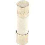 Fusible 8a 5x20 ceramique par 10 50287203009 - micro - ondes