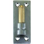 Gond s / plaque inox 316 d16 40x4x180 axe laiton