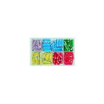 Greenstar - coffret de fusibles st�atite bna de 5a � 25a. compos� d'un assortiment de 200 pi�ces.