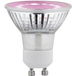 Lampe pour plantes  led, croissance 230 v gu10 3. 5 w ambr 1 pc(s) c002532 - paulmann