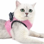 Harnais et laisse pour chat ultra - lger col chaton doux et confortable veste de marche pour chat course ...