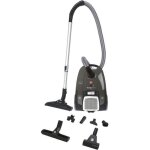 Hoover - aspirateur traineau sac telios extra txl20pet - 700 w - 3, 5 l - 69 dba - spcial animaux