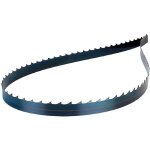 Femi - lame a nastro pour segatrici legno mm 1790 x 10 x 0, 35 - dentelée. z6 Femi - lame a nastro pour segatrici legno mm 1790 x 10 x 0, 35 - dentelée. z6