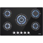 Iseasy - plaque � gaz 5 feux, plaque � gaz, plaque de cuisson � gaz avec 5 foyers, gaz naturel / propane ...
