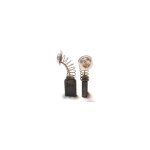 Jeu de charbons pour outillage �lectroportatif - 1875x - cori