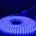 Kit complet ruban led 5 mtres 220v ip65 led avec prise, pas besoin de transfo - lumire bleu