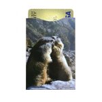 Kokoon waves protect - prot�ge - cb montagne marmote