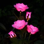 Lampes solaires � led en forme de roses artificielles pour ext�rieur, d�coration de jardin, cour, patio, ...