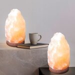 Lampe de table lampe d'appoint lampe de chevet lampe de lecture, bois cristal de sel brun naturel, cble ...