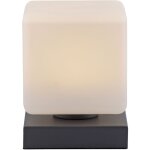 Lampe de table led paul neuhaus 4036 - 13 anthracite, 5 w, 580 lm, 3000 k