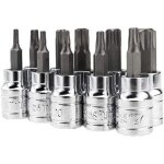 Lot de 10 embouts torx torx 3 / 8' t10 t15 t20 t25 t27 t30 t40 t45 t50 t55