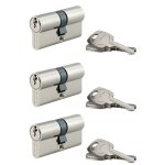 Thirard ? lot de 3 cylindres de serrure double entr�e 30x30mm ? 9 cl�s en laiton nickel� ? panneton anti ...