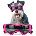Lunettes de soleil pour chien de race moyenne, protection uv, lunettes pour chien carlin pour chiens ...