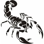 Autocollants de voiture d�calque de vinyle stickers pour voiture autocollant de voiture 3d scorpion motif ...