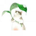 Mignon parapluie chat dcoration dessin anim mur dcalcomanie murale art bricolage affiche peler et ...