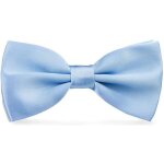 Noeud papillon bleu ciel