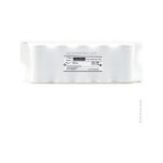 Nx - batterie eclairage secours 5xd st1 faston 4. 8mm 6v 4ah