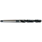 Oc - pro - forets cone morse - conemorse : foret de 13. 5