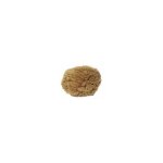 Eponge mer naturelle 15 / 17 cm Eponge mer naturelle 15 / 17 cm