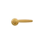 Poigne de porte intrieure design en laiton poli brillant sur rosace ronde cl l, raphala