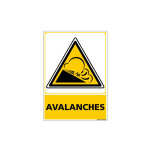 Panneau danger avalanches (c1443) - aluminium 2 mm - 300 x 420 mm