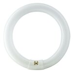 Tube fluorescent circulaire 32w �30cm triphosphor 865k lumi�re froide philips