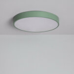 Ledkia ? plafonnier led rond 24w cct s�lectionnable ? �400 mm ? m�tal vert c�ladon ? lumi�re chaude � ...