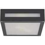 Lucande ? plafonnier d'ext�rieur en aluminium gris graphite ? indice de protection ip54 ? culot e27 ? ...