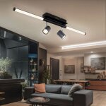 Plafonnier avec spots orientables spot plafonnier noir lampe de salon, graphite opale, 2x gu10, 1x led ...