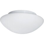 Plafonnier tokyo 2l salle de bain ip44 clii metal blanc verre opale e27 max 2x60w diam 28cm