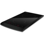 Plaque induction 2 foyers 2900w ? largeur 60cm ? surface en verre poli noir ? minuterie 180 minutes ? ...