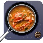 Ciarra - plaque induction portable 2000w cdtih1a - m minuterie 240min scurit enfants bleu