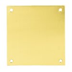 Plaque de propret� 90x65mm laiton poli heracles 251752