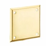 Plaque de propret� laiton 60 x 60 - thirard