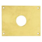 Plaque de propret� trou rond 24 laiton poli 50x50mm heracles 251352 - tr24