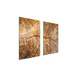 Plaque de protection en verre pour po�le � bois 75x52