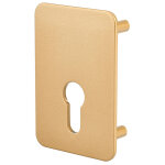 Plaque de renfort cylindre profil� pour verrou capital, fixation par vis, �poxy bronze - thirard