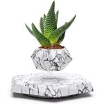 Pot de plantes succulentes, bonsa� d'air et plantes d'air. pots de fleurs pour la maison, le bureau et ...