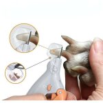 Professionnel coupe ongles pour animaux de compagnie ciseaux chien chat ongles orteil griffe clipp - ...